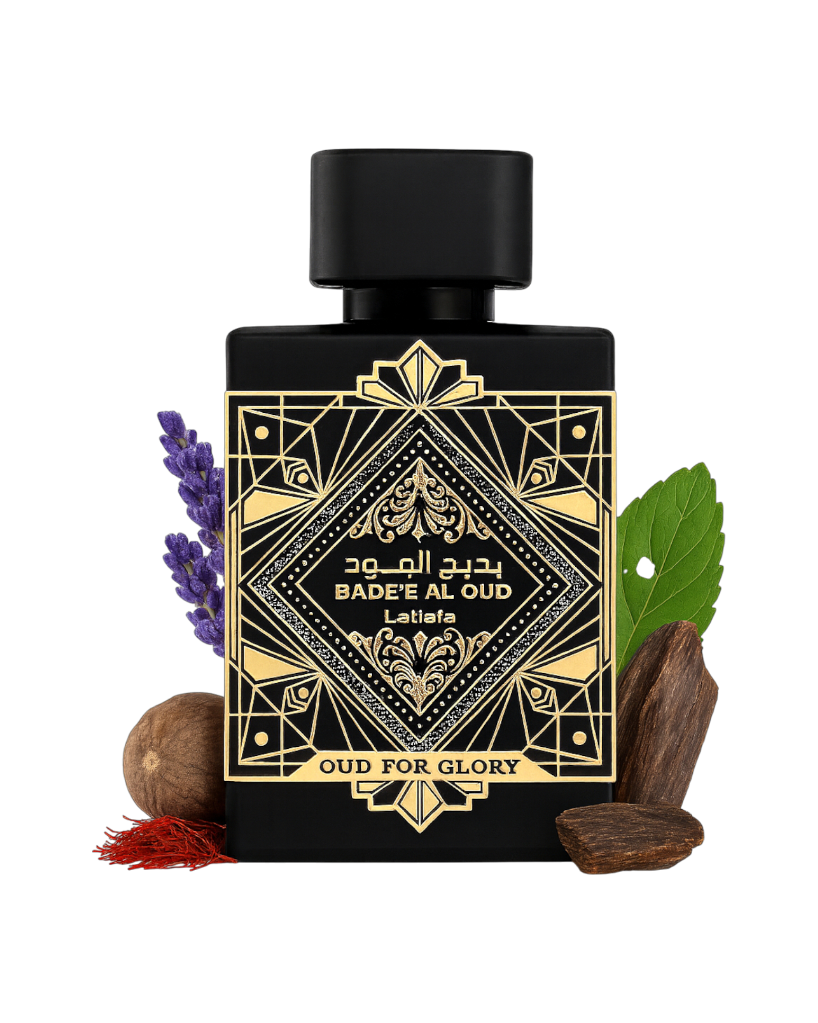 BADEE AL OUD FOR GLORY