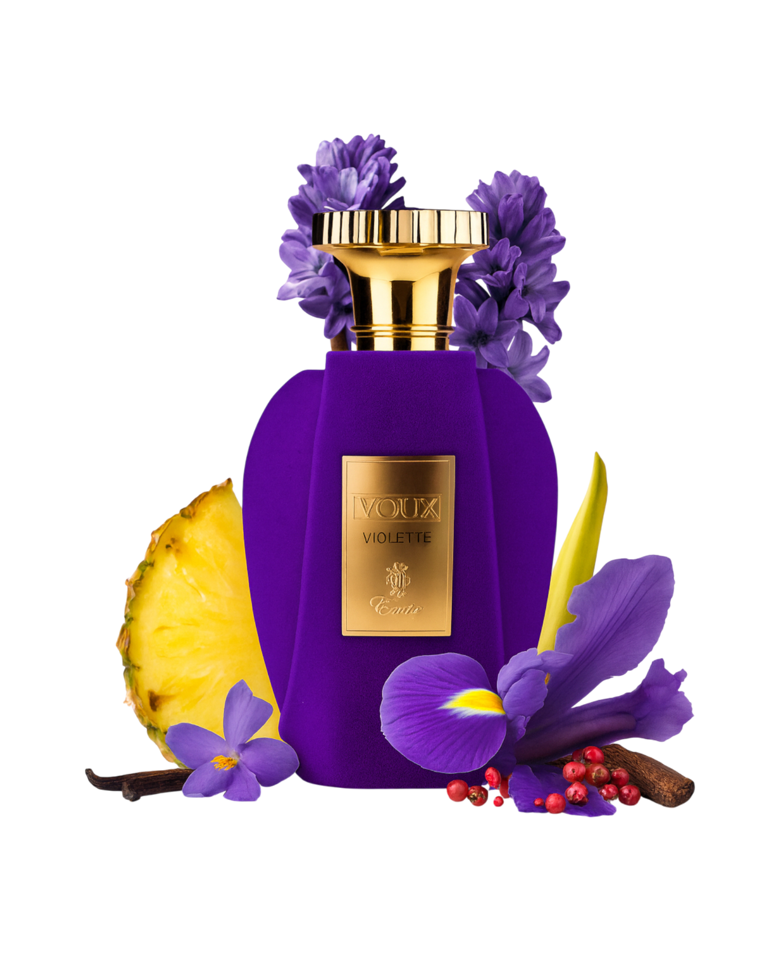VOUX VIOLETTE