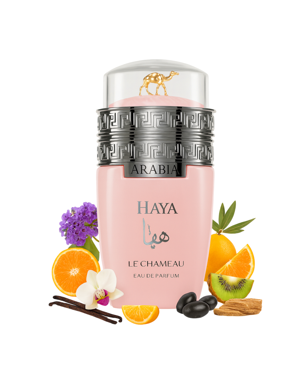 ARABIA HAYA