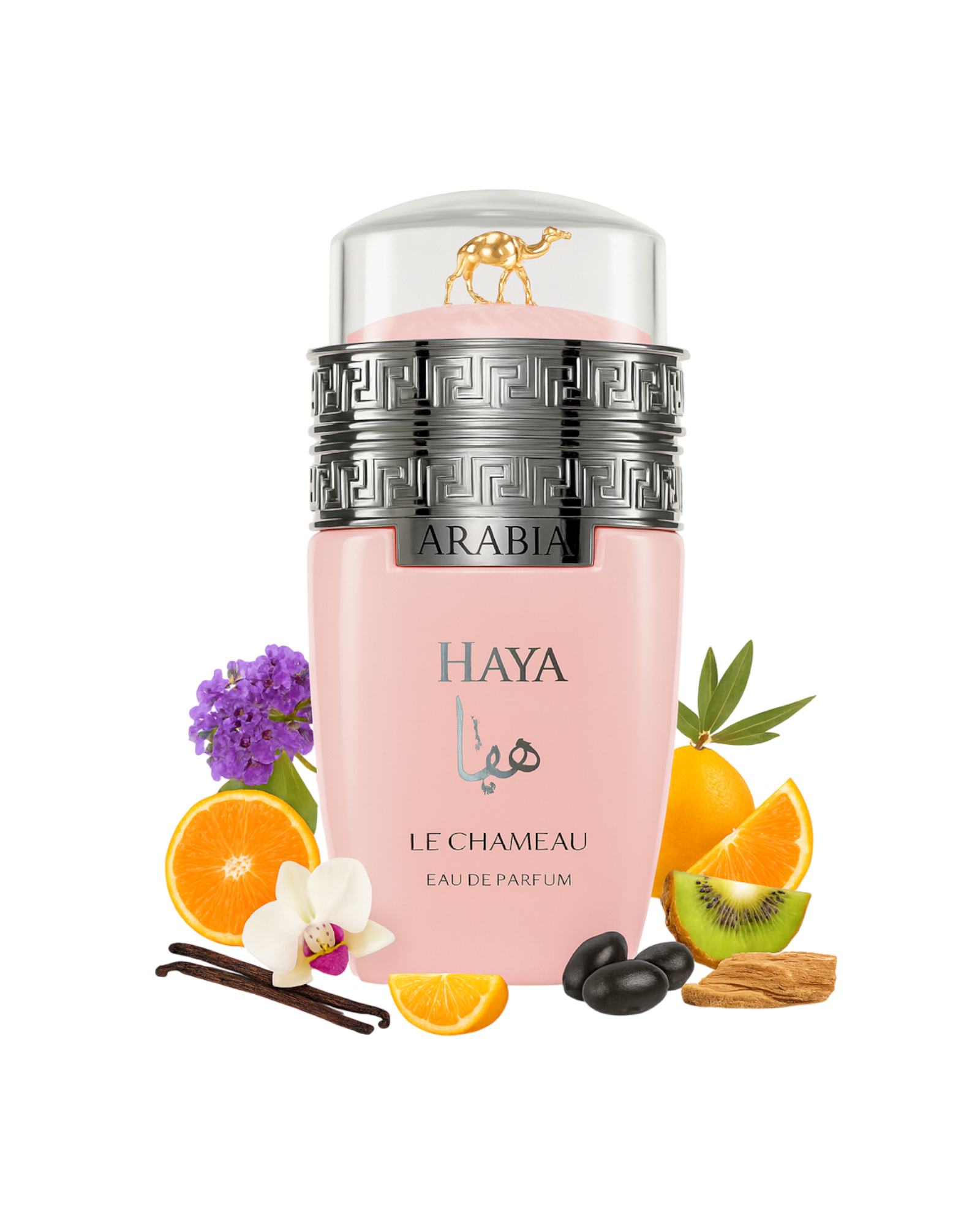 ARABIA HAYA