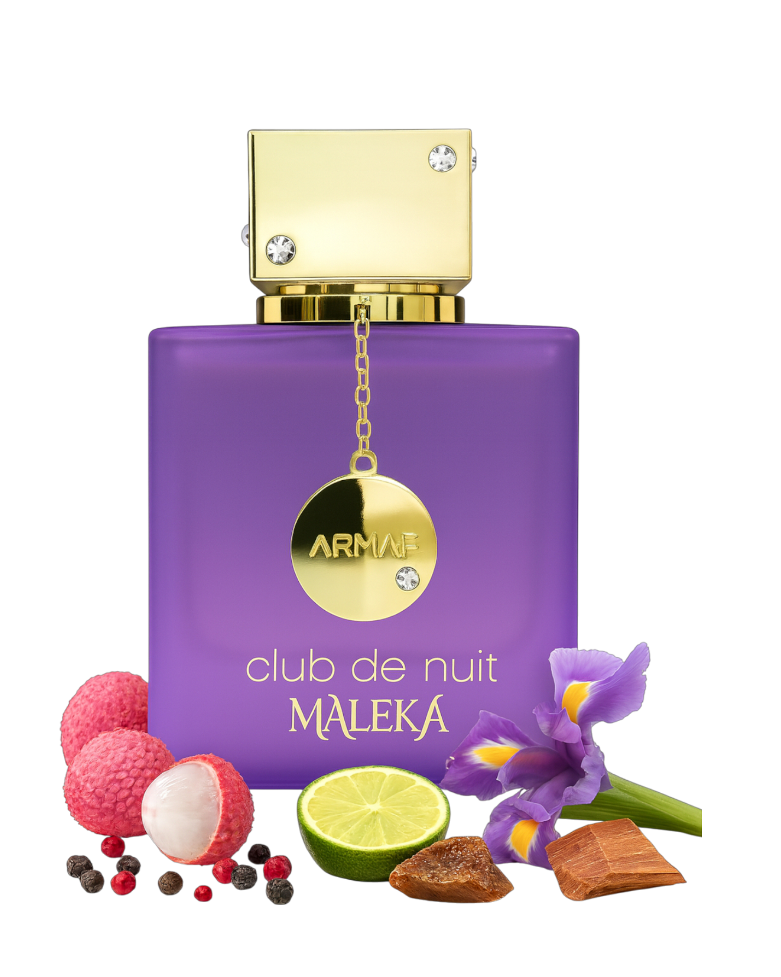 CLUB DE NUIT MALEKA