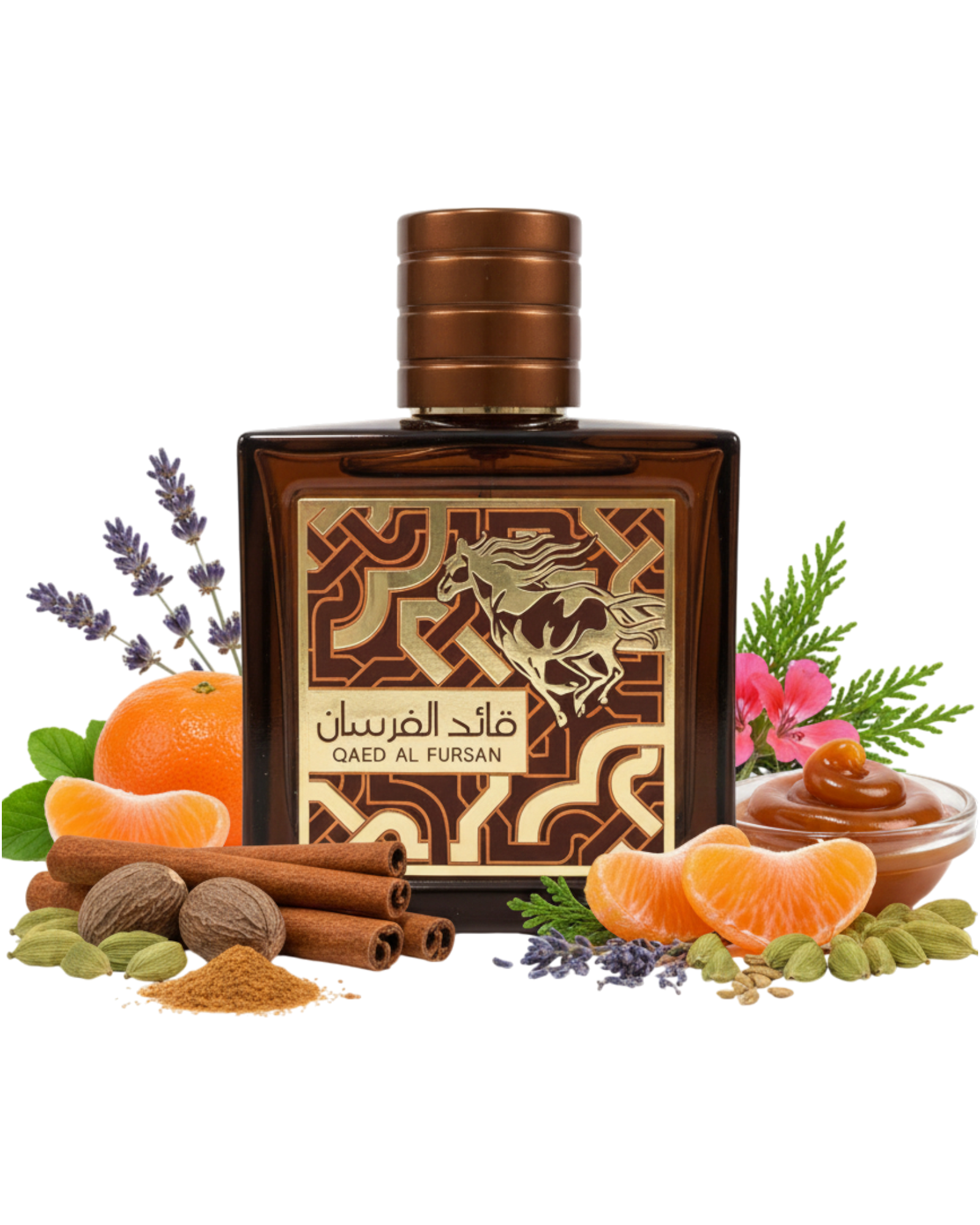 QAED AL FURSAN UNTAMED