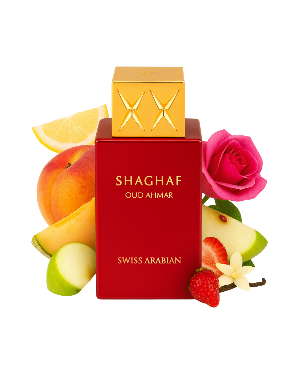 SHAGHAF OUD AHMAR