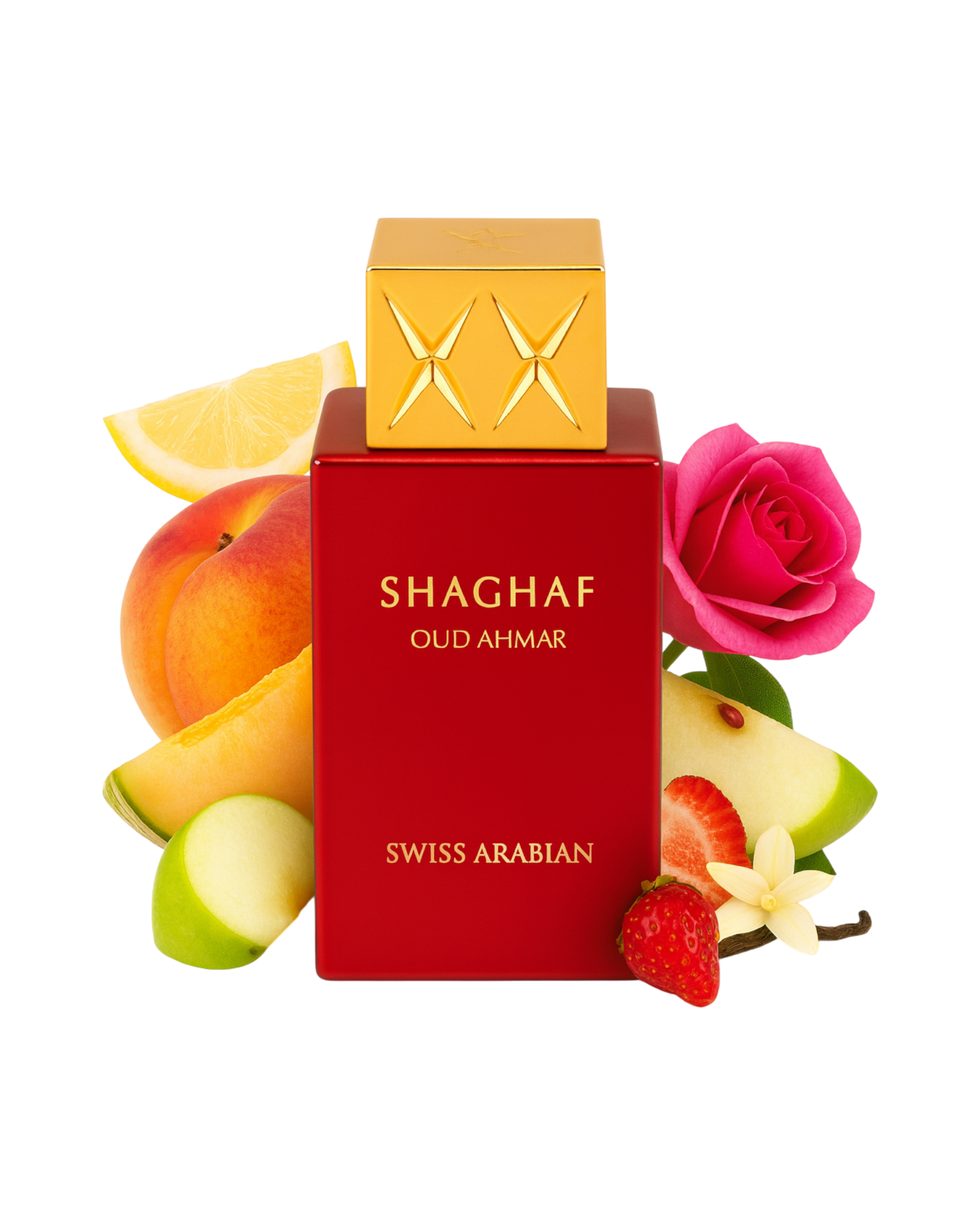 SHAGHAF OUD AHMAR